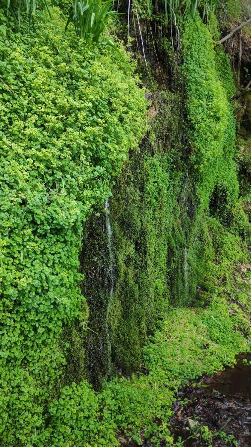 Вилла Pe Na Aldeia Outeiro  Экстерьер фото