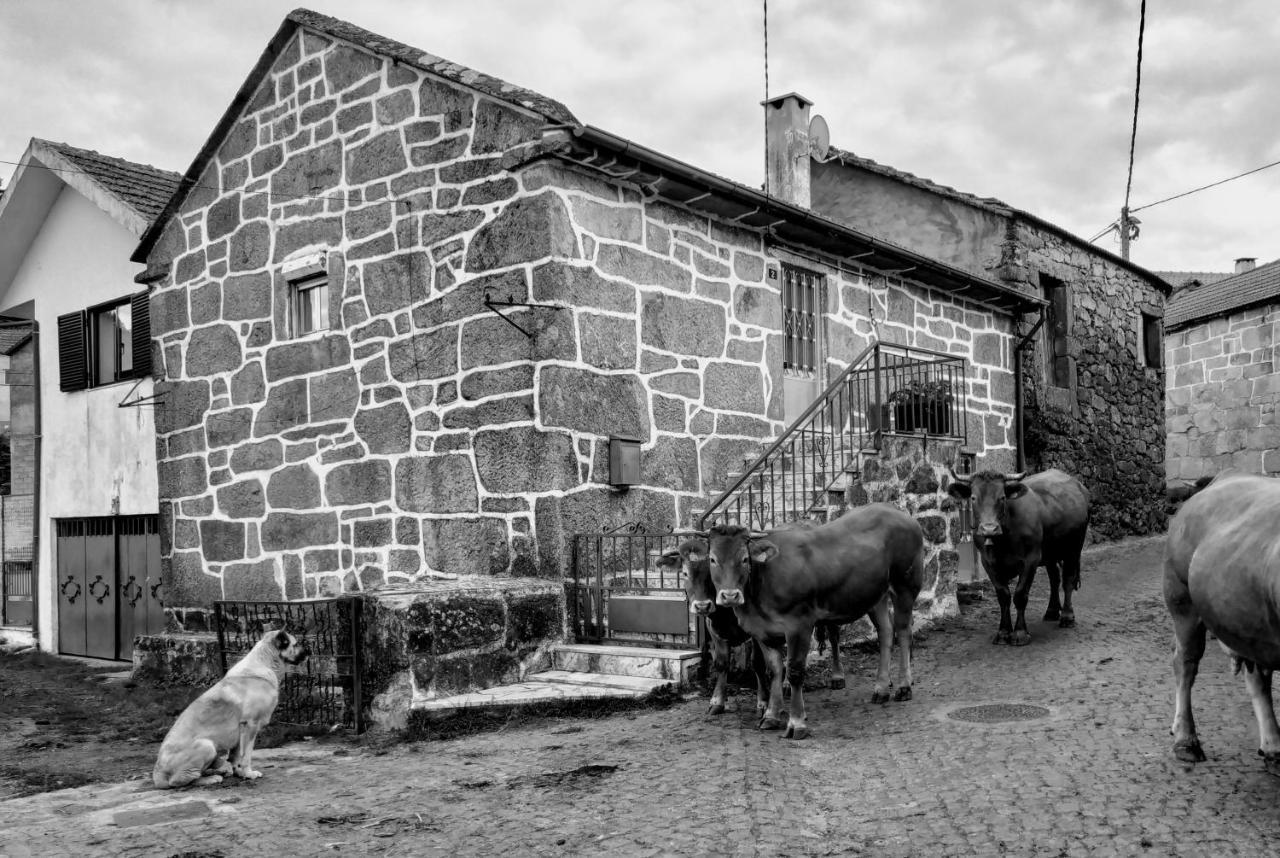 Вилла Pe Na Aldeia Outeiro  Экстерьер фото