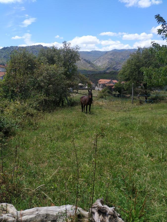 Вилла Pe Na Aldeia Outeiro  Экстерьер фото